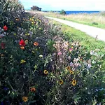 Strandliebe-i-mit-balkon * Burgtiefe auf Fehmarn